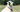 How Pill Treats Are Reducing Pet Medication Stress: A Win for Dogs and Owners
