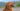 The Impact of Pill Treats on the Dog Supplement Market